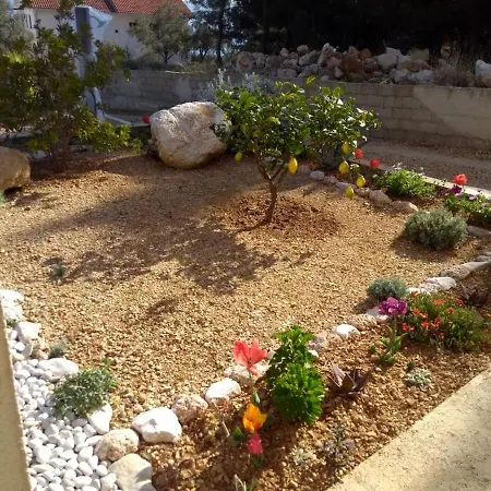 Hvar 公寓
