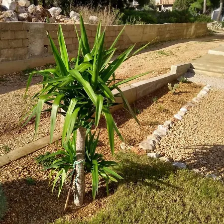 Hvar *